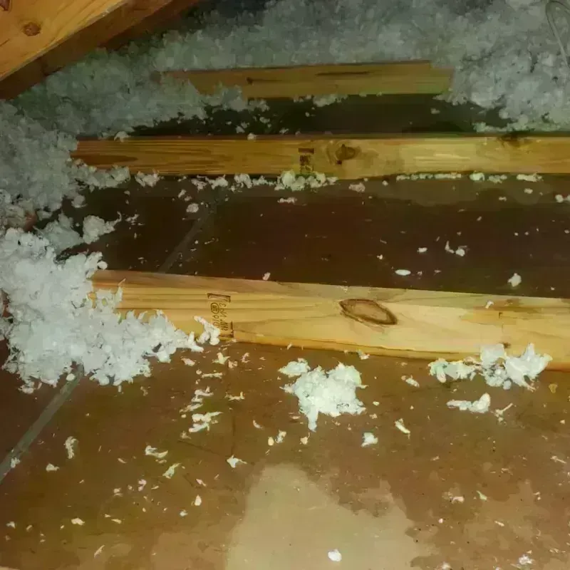 Attic Water Damage in Brackettville, TX