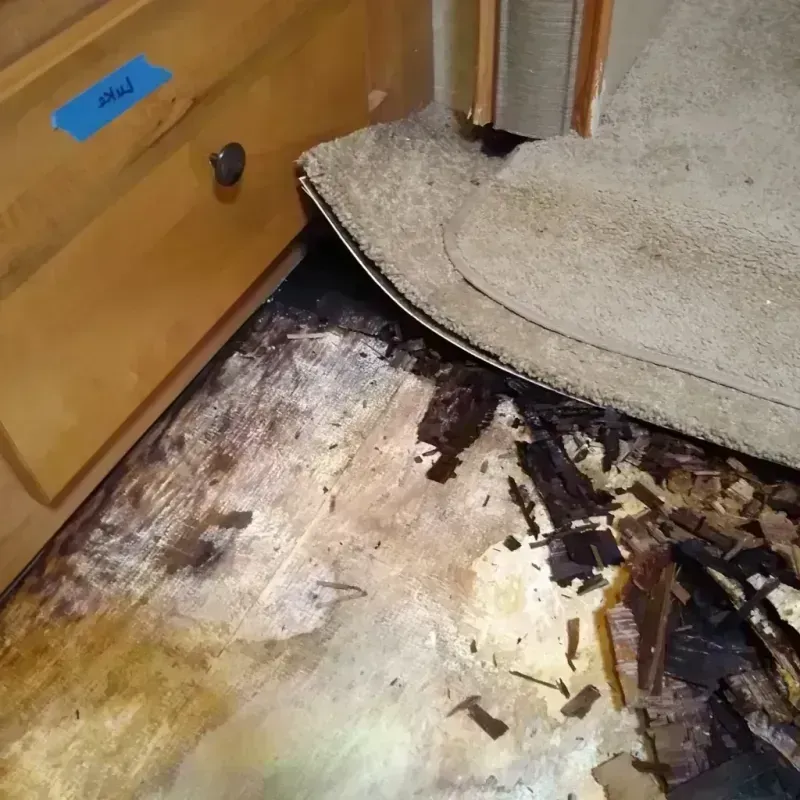 Wood Floor Water Damage in Brackettville, TX